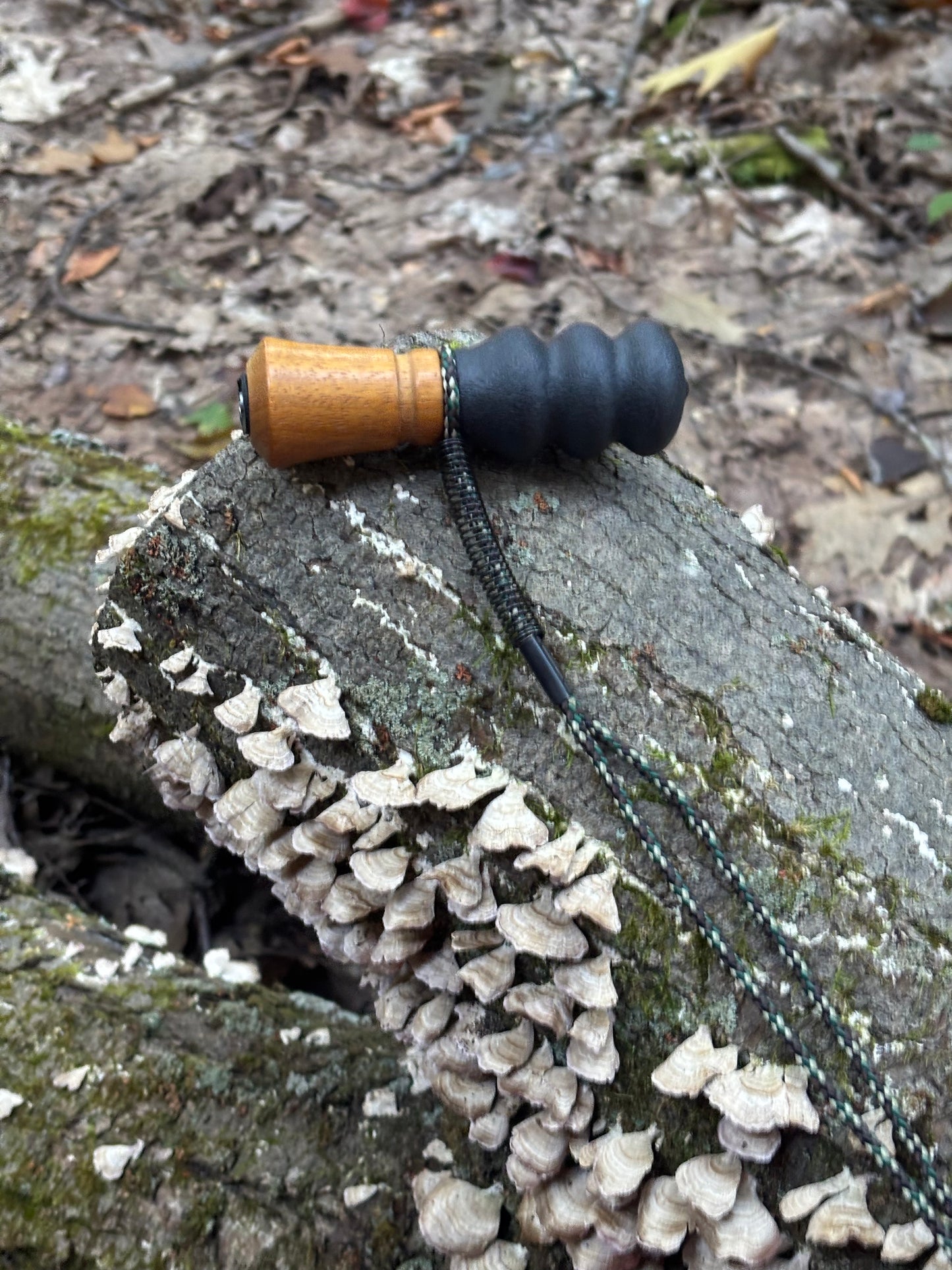 Squirrel Call